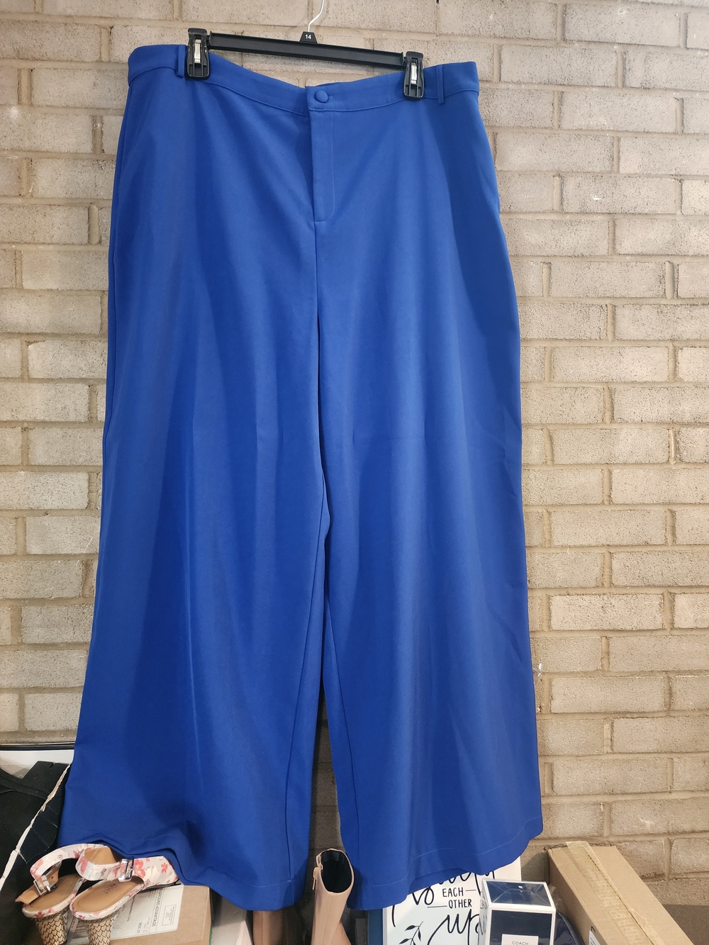 Sugarlips Cobalt Blue Wide Leg Pants
